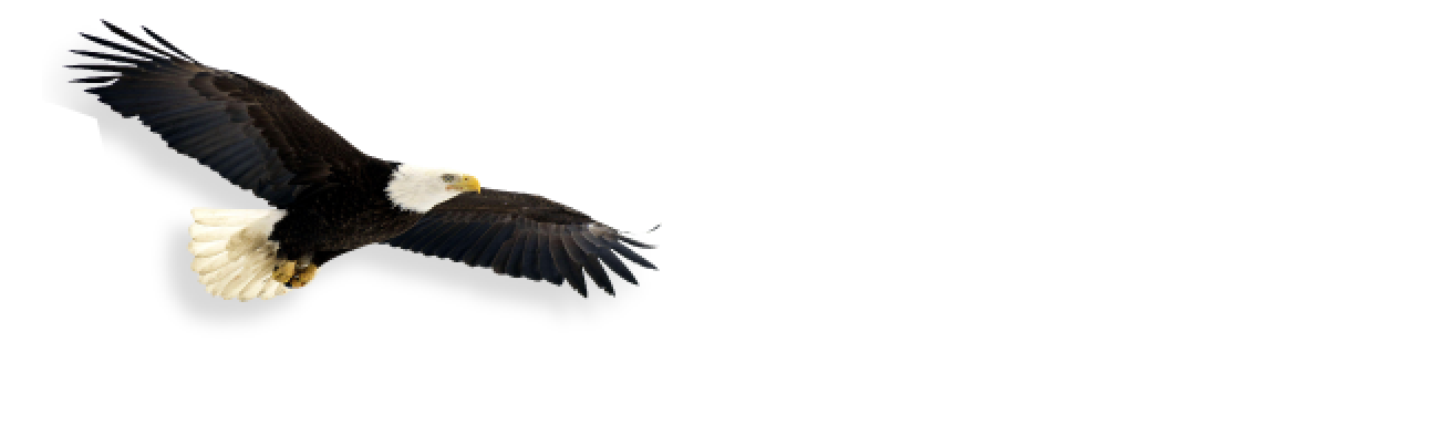 Private Investigator and Surveillance | Michael Guadagno & Associates
